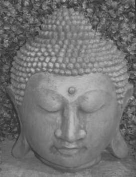 Y820 Buddha Head 12 in.jpg