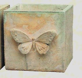 C913 Butterfly box 7x7 in..jpg