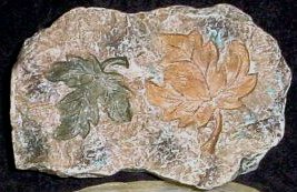 M105 Leaf Fossil 5x3.5x1.5 in..JPG