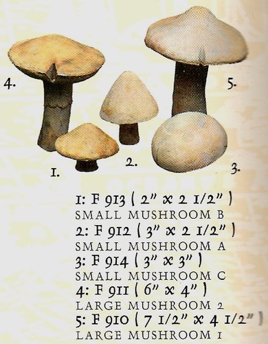 F910 to F914 Mushrooms 1 to 5.jpg